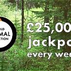 world animal protection lottery